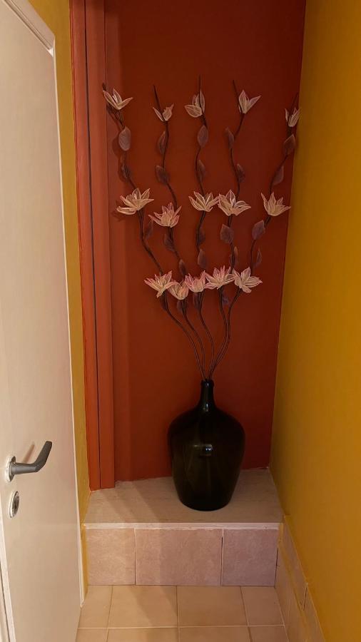 Casa Di Spili - Corfu Old Town Apartment Экстерьер фото